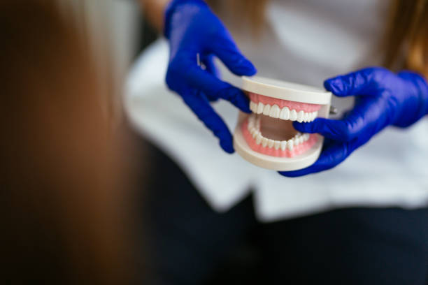 Trusted Salmon, ID  Holistic Dental Services Experts